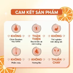 Cam kết sản phẩm Timeless 10% Vitamin C + E Ferulic Acid