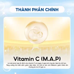 thành phần chính Timeless Hyaluronic Acid + Vitamin C