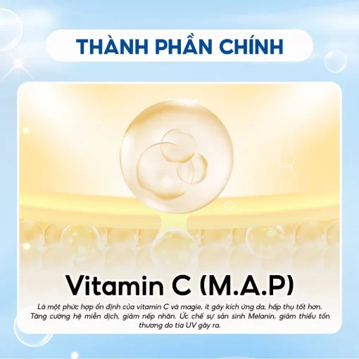 thành phần chính Timeless Hyaluronic Acid + Vitamin C