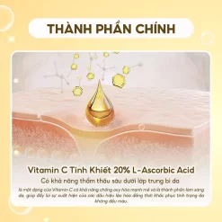thành phần chính Timeless 20% Vitamin C + E Ferulic Acid