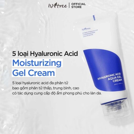 Isntree Hyaluronic- Acid Aqua Gel Cream 100ml