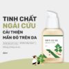 Round Lab Mugwort Calming Serum