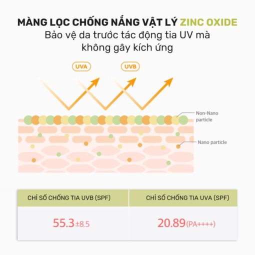 Kem chống nắng Round Lab Birch Juice Mild-up Sunscreen