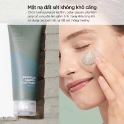 Mặt nạ đất sét Tế bào chết Isntree Mugwort Calming Clay Mask 100ml