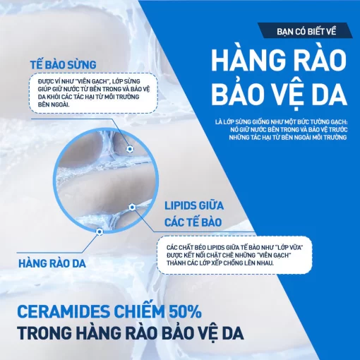 Sữa dưỡng ẩm Cerave Moisturising Lotion