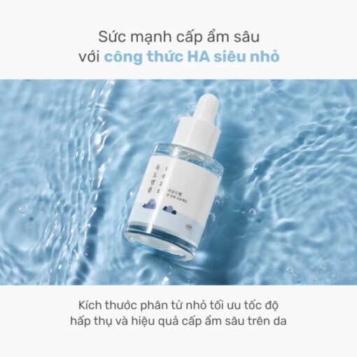 Tinh chất Round Lab 1025 Dokdo Ampoule