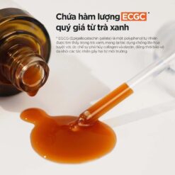 Tinh chất trà xanh Isntree Green Tea Fresh Serum 50ml