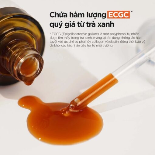 Tinh chất trà xanh Isntree Green Tea Fresh Serum 50ml