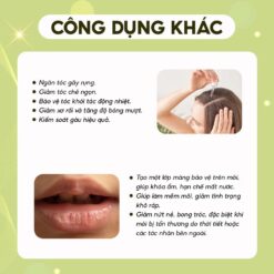 Công dụng Timeless Squalane Oil
