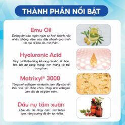 Thành phần Timeless Hydrating Eye Cream