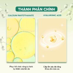 Thành phần chính Timeless Vitamin B5 Hydration